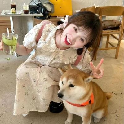 艳窟神探